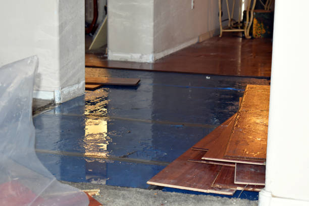Professional Basement Flood Cleanup technician working in Watertown, MA